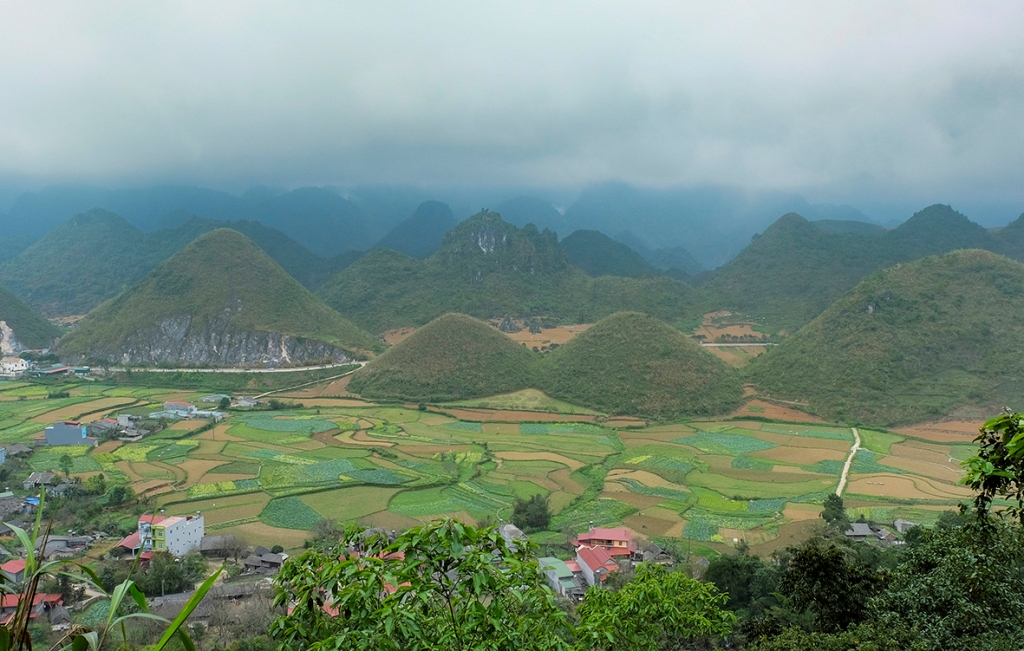 hung vi ha giang
