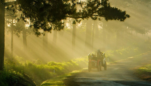 khoanh khac da lat chim trong suong dep tua chon thien duong