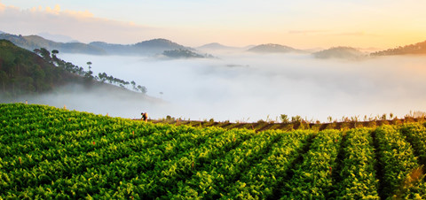 khoanh khac da lat chim trong suong dep tua chon thien duong