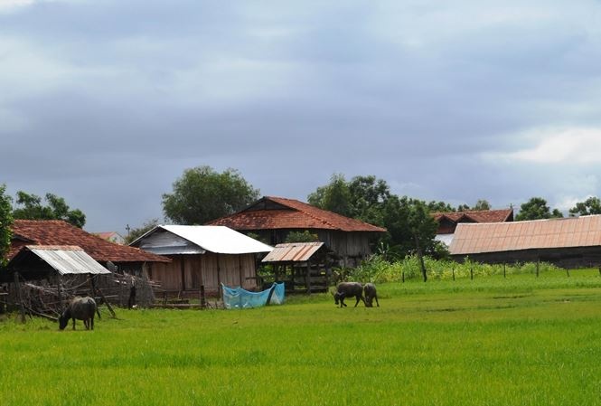 da the o vung bien
