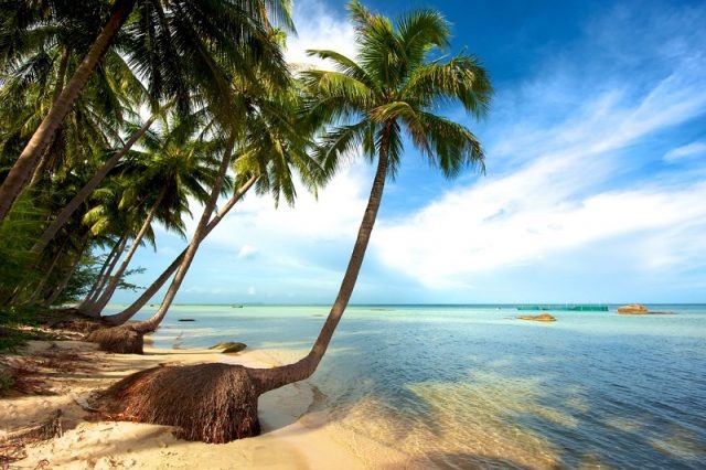 den phu quoc khong the khong mua thu nay mang ve lam qua