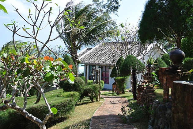 thi xa ninh hoa khanh hoa noi chay tron xo bo de tim ve coi an yen