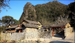 nhung nghe chi o vung bien moi co
