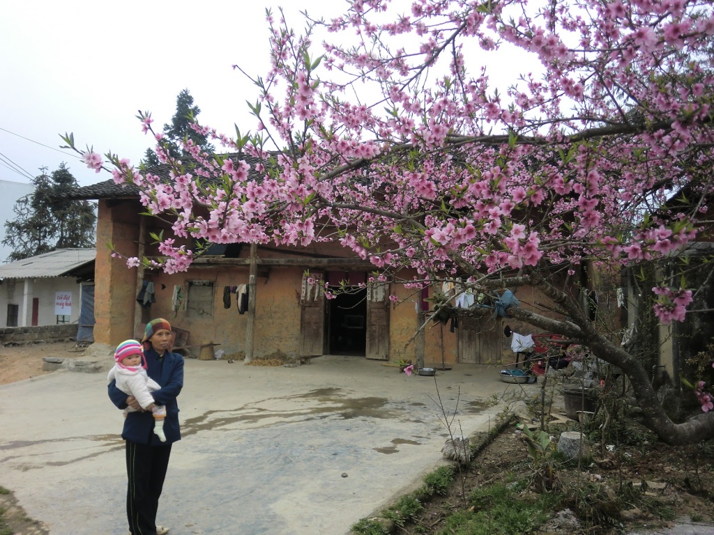 len ha giang nhat dinh phai den nha cua pao