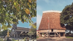 nhung loai hoa khoe sac trong nang ha o hue