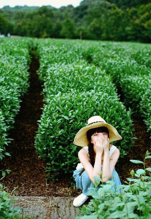 tu vi hom nay 194 ve tai chinh cua 12 con giap tuoi hoi phai chi nhieu