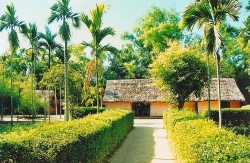 nhung loai hoa khoe sac trong nang ha o hue
