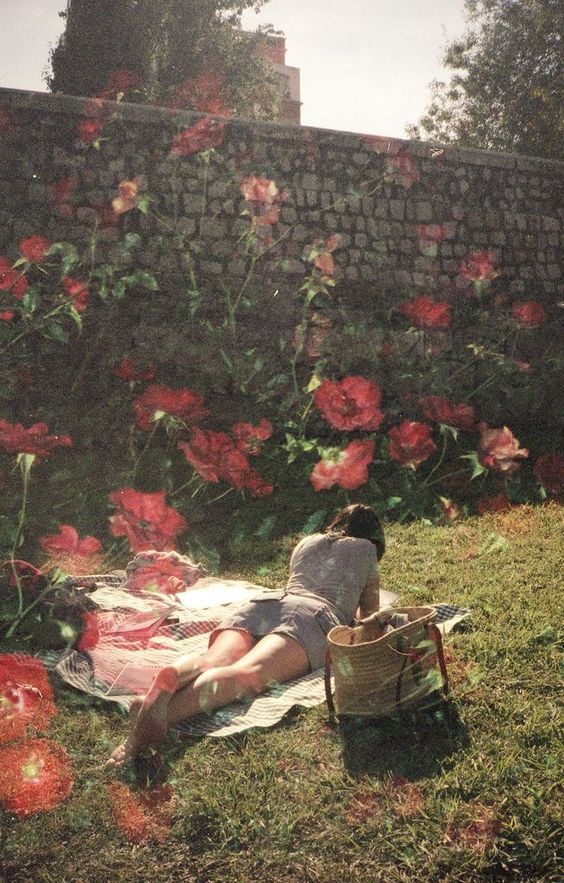 tu vi hom nay 234 ve cong viec cua 12 cung hoang dao thien binh de roi tri