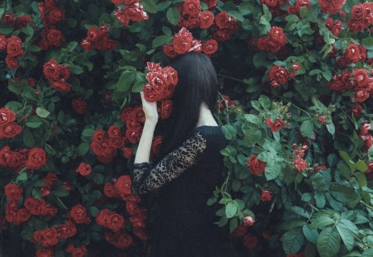 tu vi hom nay 234 ve cong viec cua 12 cung hoang dao thien binh de roi tri