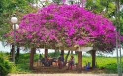 doc dao quan xuong trieu nguyen voi tinh hoa nghe viet tai hue