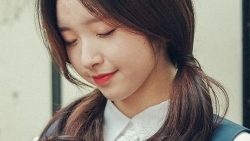 tu vi hom nay 175 ve cong viec cua 12 con giap tuoi than tien thoai luong nan