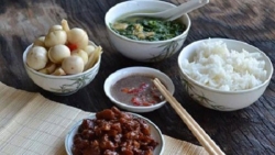 di dau thi di nho gio com ma ve an