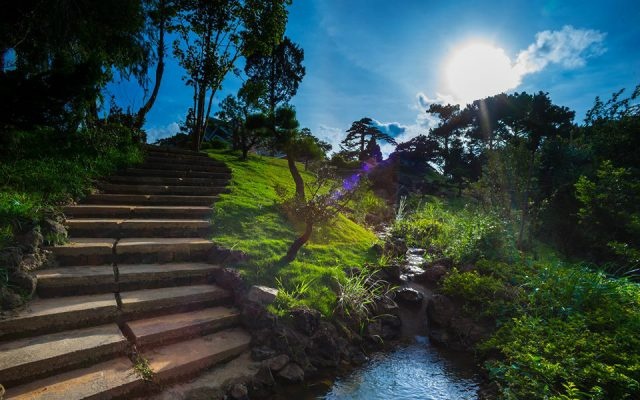 khu du lich la phong da lat nam o duong nao