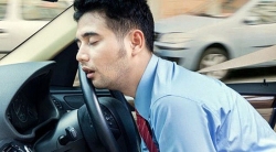 o nha thue nhung van co mua bon banh toi nhan them dong no nan phien toai vi si dien