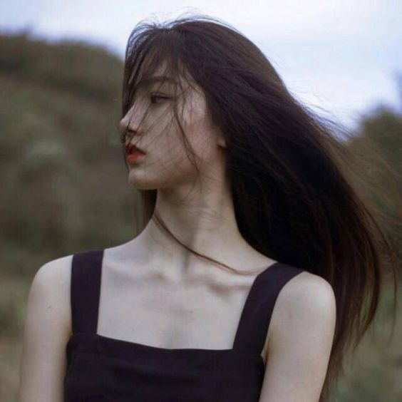 tu vi chiem tinh ngay 67 ve tinh yeu 12 con giap tuoi ty chung tinh