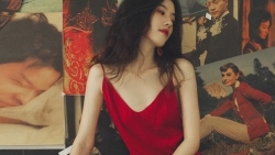 tu vi chiem tinh ngay 97 ve cong viec cua 12 con giap tuoi ty that thu