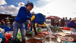 Chợ cá Thợ mỏ