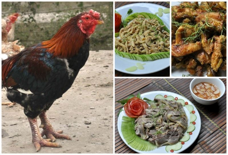 100 đặc sản Việt Nam: "Tam Bắc" có món gì ngon nức tiếng gần xa? 100 dac san viet nam tam bac co mon gi ngon nuc tieng gan xa