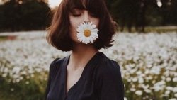 tu vi chiem tinh ngay 157 cua 12 con giap tuoi hoi cang thang ngay dau tuan