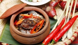 co dac san gi trong mam co cua nguoi dan binh lieu moi khi hoi hoa so den