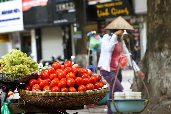 du lich ha noi 1 ngay du khach nen di dau an gi nghi o dau