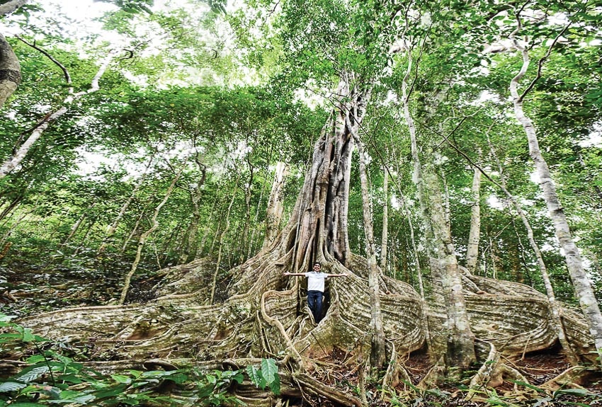 du lich quang ngai nen di dau