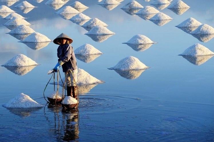 du lich quang ngai nen di dau