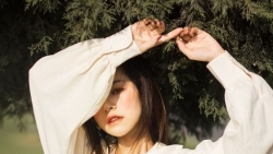 tu vi chiem tinh ngay 238 ve tinh yeu cua 12 con giap tuoi dau thang hoa cam xuc