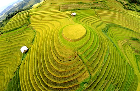 mua thu 2019 len tay bac trai nghiem mua vang dep nhu tranh ve