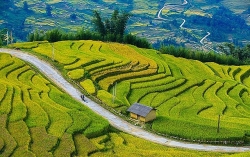 Mùa thu 2019 lên Tây Bắc trải nghiệm "mùa vàng" đẹp như tranh vẽ