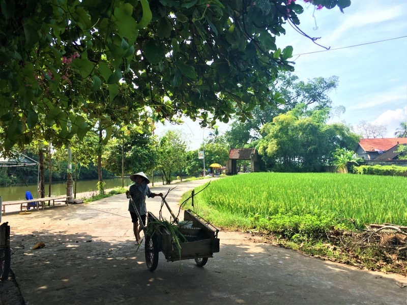 tro thanh diem du lich lang co duong lam co gi dac biet