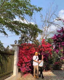 Tin tức sao Việt hôm nay: H