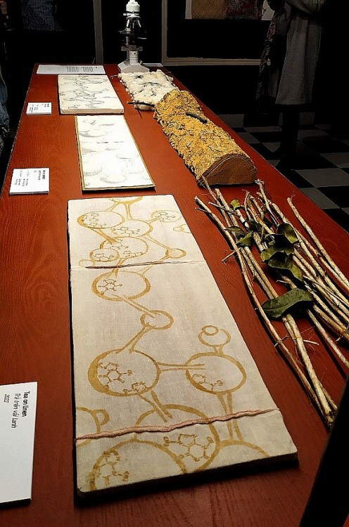 Nữ họa sỹ Bỉ ứng dụng cách tiếp cận độc đáo trong những bức vẽ về Việt Nam