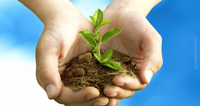 bao hiem nganh phat trien kinh doanh tiem nang cua kinh te viet nam