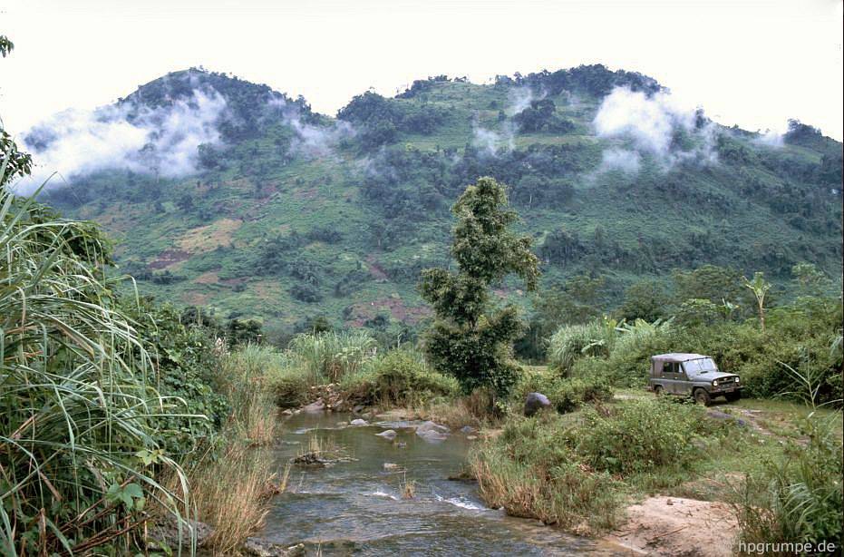 chum anh phien cho sapa nam 1992 trong anh cua du khach nuoc ngoai