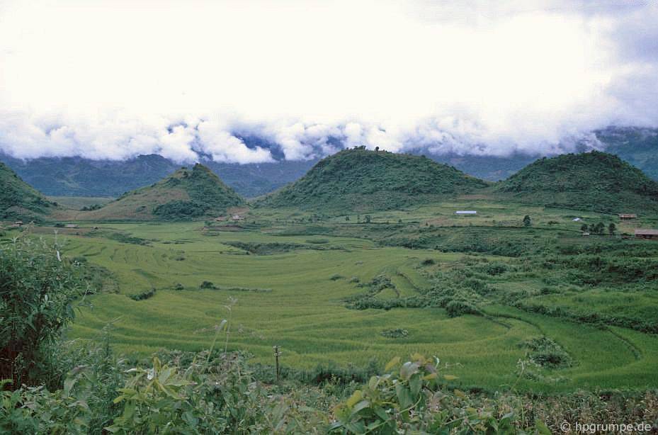 chum anh phien cho sapa nam 1992 trong anh cua du khach nuoc ngoai