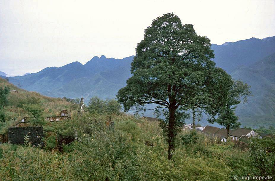chum anh phien cho sapa nam 1992 trong anh cua du khach nuoc ngoai