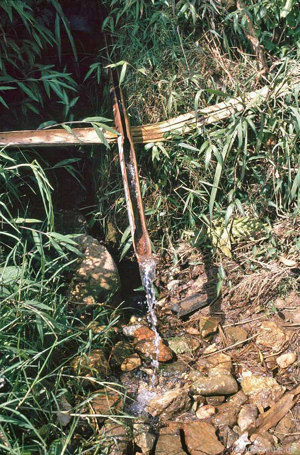 chum anh phien cho sapa nam 1992 trong anh cua du khach nuoc ngoai