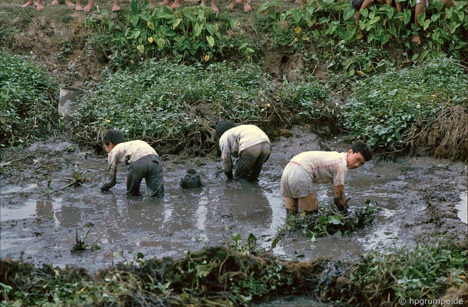 tam coc bich dong ninh binh dep gian di o nhung nam 90