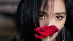 chiem tinh ngay 141 ve cong viec cua 12 con giap tuoi hoi nhieu tai loc