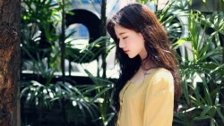 chiem tinh ngay 171 ve cong viec cua 12 con giap tuoi mao nen hoc cach lang nghe