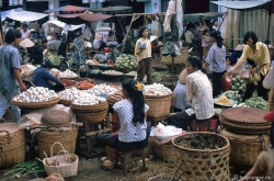 chum anh mau ve buon ma thuot nam 1992 khac la qua ong kinh nhiep anh gia duc