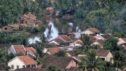 ve binh yen hiem co cua son la trong loat anh mau nhung nam 1990