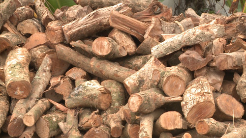 vi sao ca kho lang vu dai lai la mon an tru danh dip tet