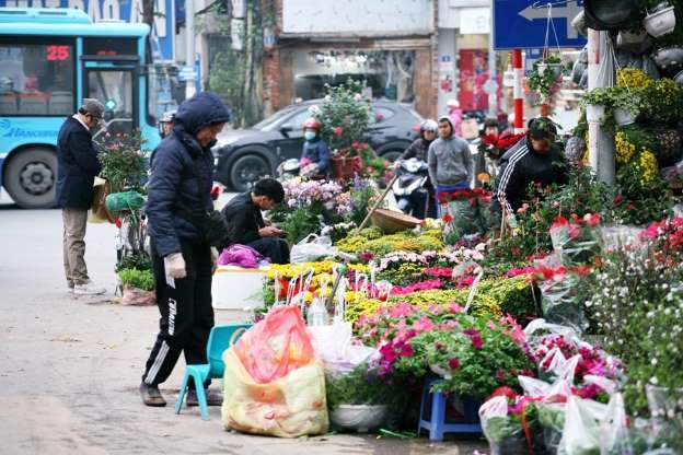 cho hoa ha noi van nhon nhip tap nap ke ban nguoi mua choi tet