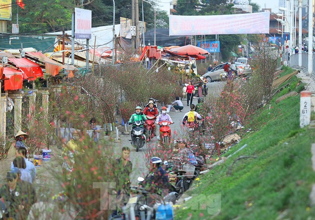 cho hoa ha noi van nhon nhip tap nap ke ban nguoi mua choi tet