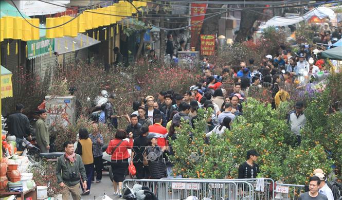 cho hoa ha noi van nhon nhip tap nap ke ban nguoi mua choi tet