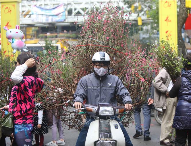 cho hoa ha noi van nhon nhip tap nap ke ban nguoi mua choi tet