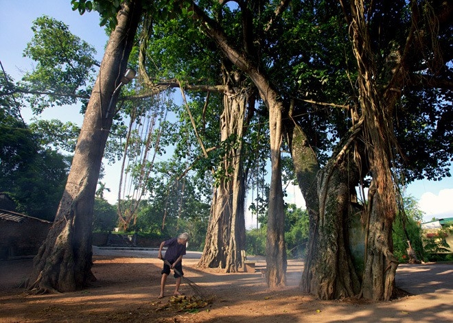 tet den muon ve lang tham lai canh xua nguoi cu