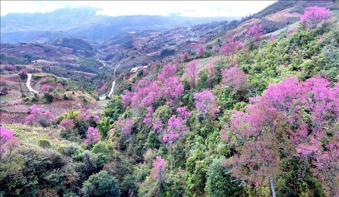 tet o vung cao co gi khac so voi tet o mien xuoi